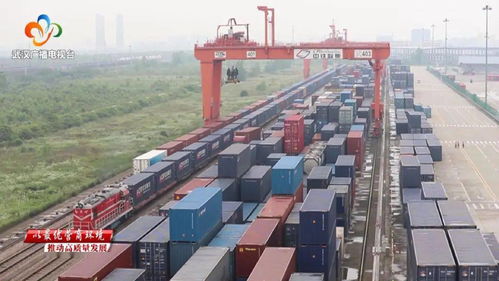 武漢市商務局 當好企業“娘家人”，精準服務助力日用百貨行業發展